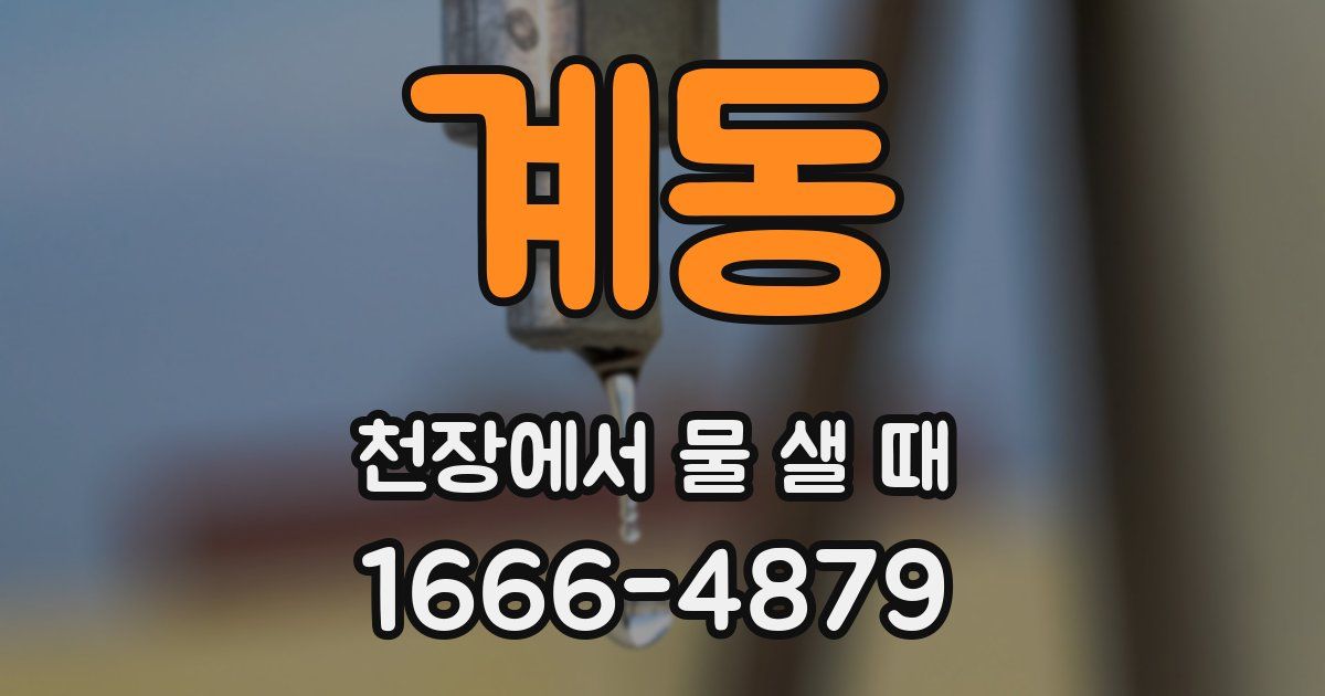 계동 천장에서 물 샐 때