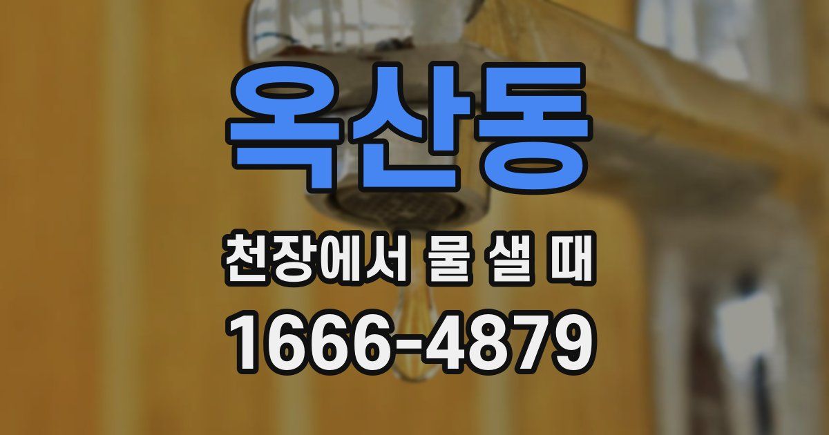 옥산동 천장에서 물 샐 때