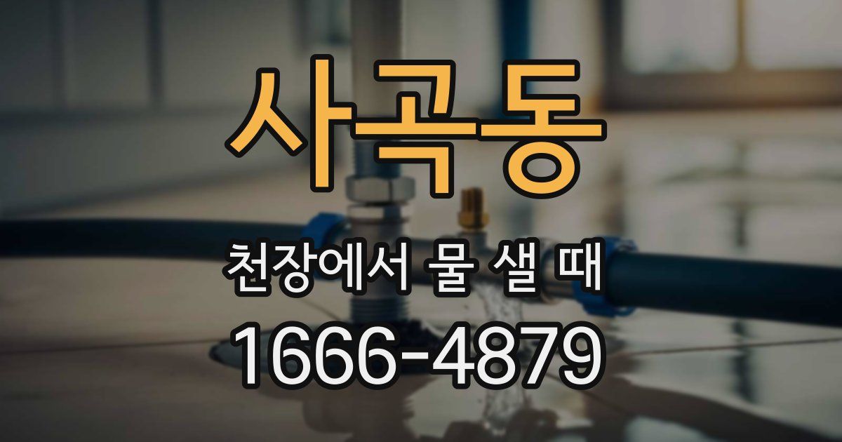 사곡동 천장에서 물 샐 때