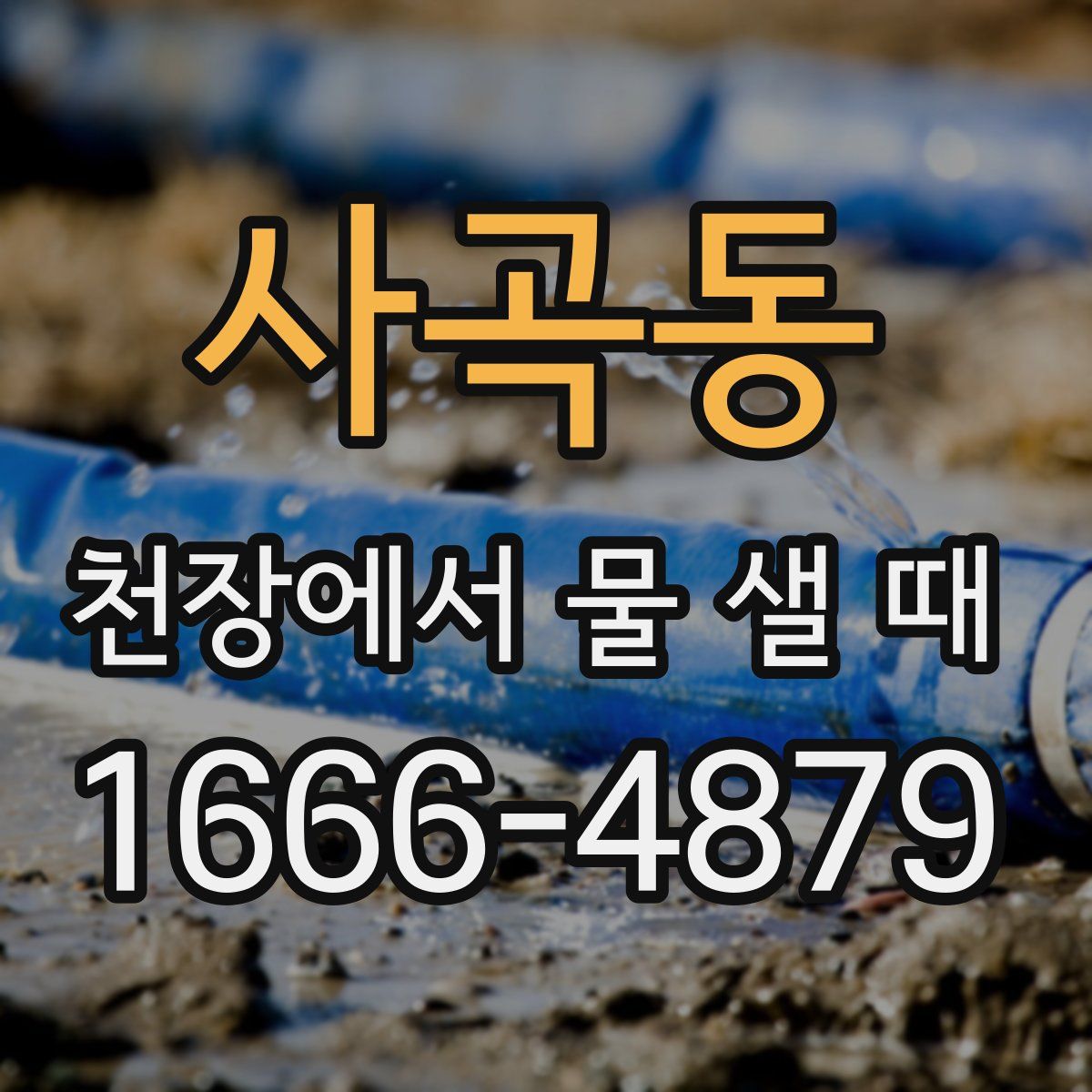 사곡동 천장에서 물 샐 때