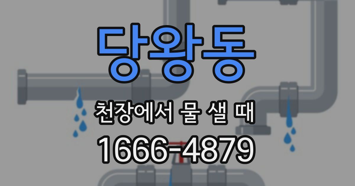 당왕동 천장에서 물 샐 때