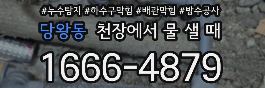당왕동 천장에서 물 샐 때