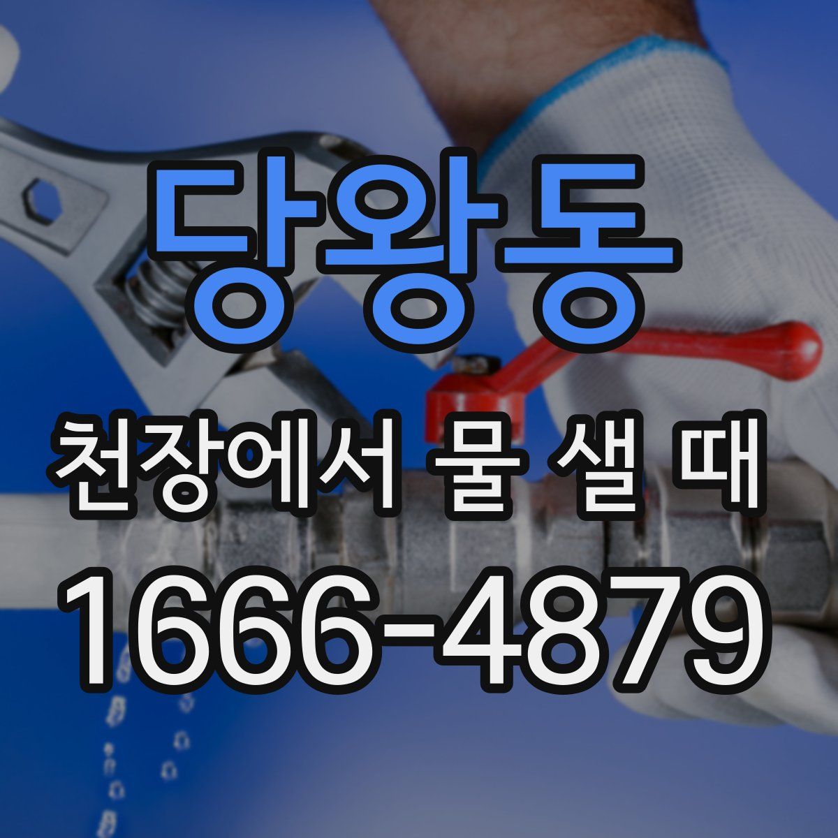 당왕동 천장에서 물 샐 때