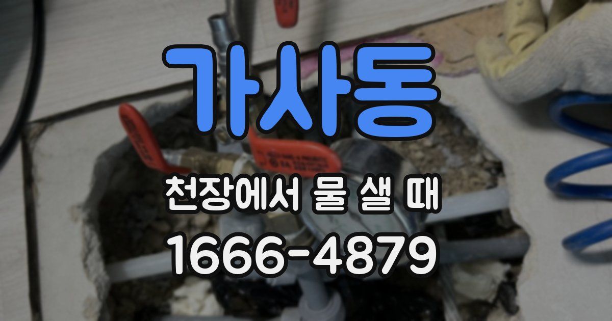 가사동 천장에서 물 샐 때