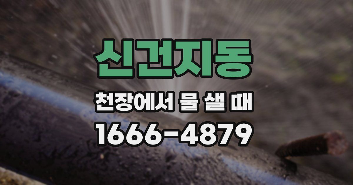 신건지동 천장에서 물 샐 때