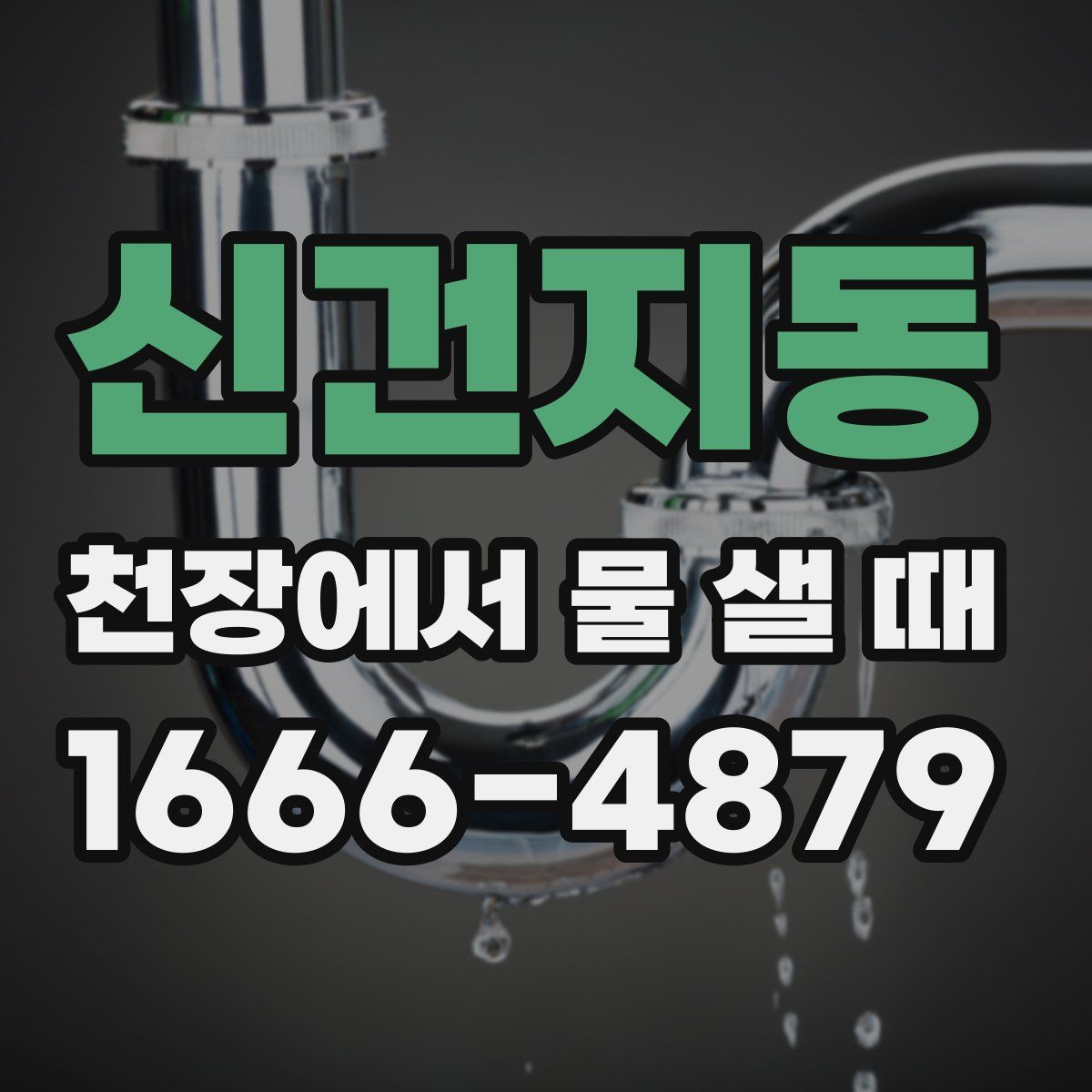 신건지동 천장에서 물 샐 때