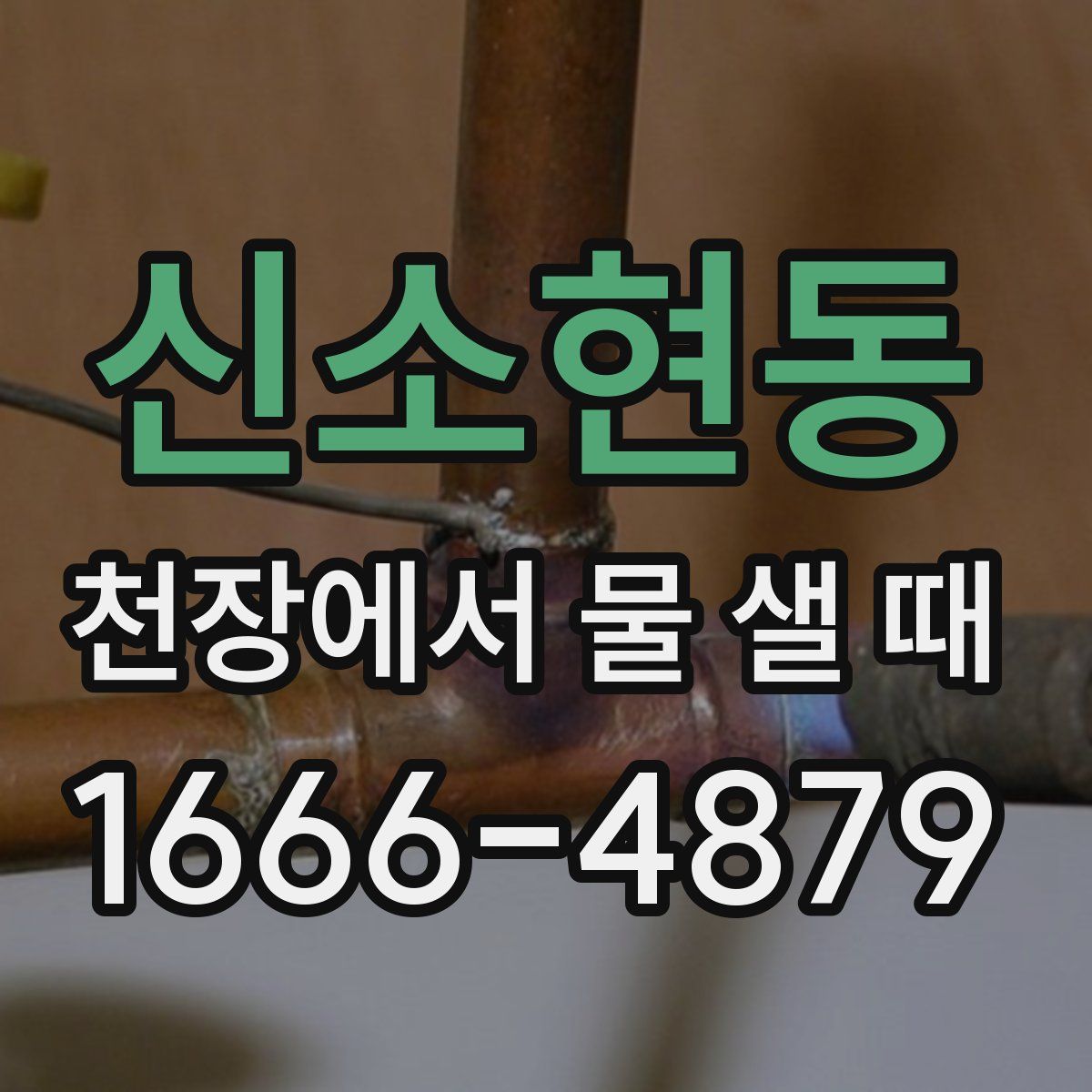 신소현동 천장에서 물 샐 때