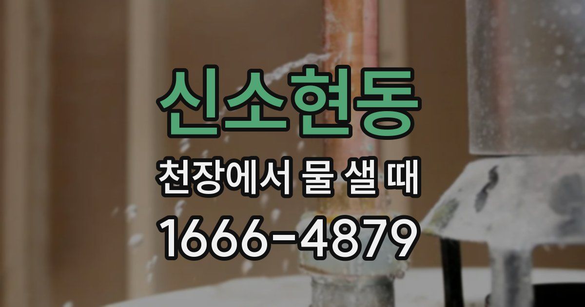 신소현동 천장에서 물 샐 때