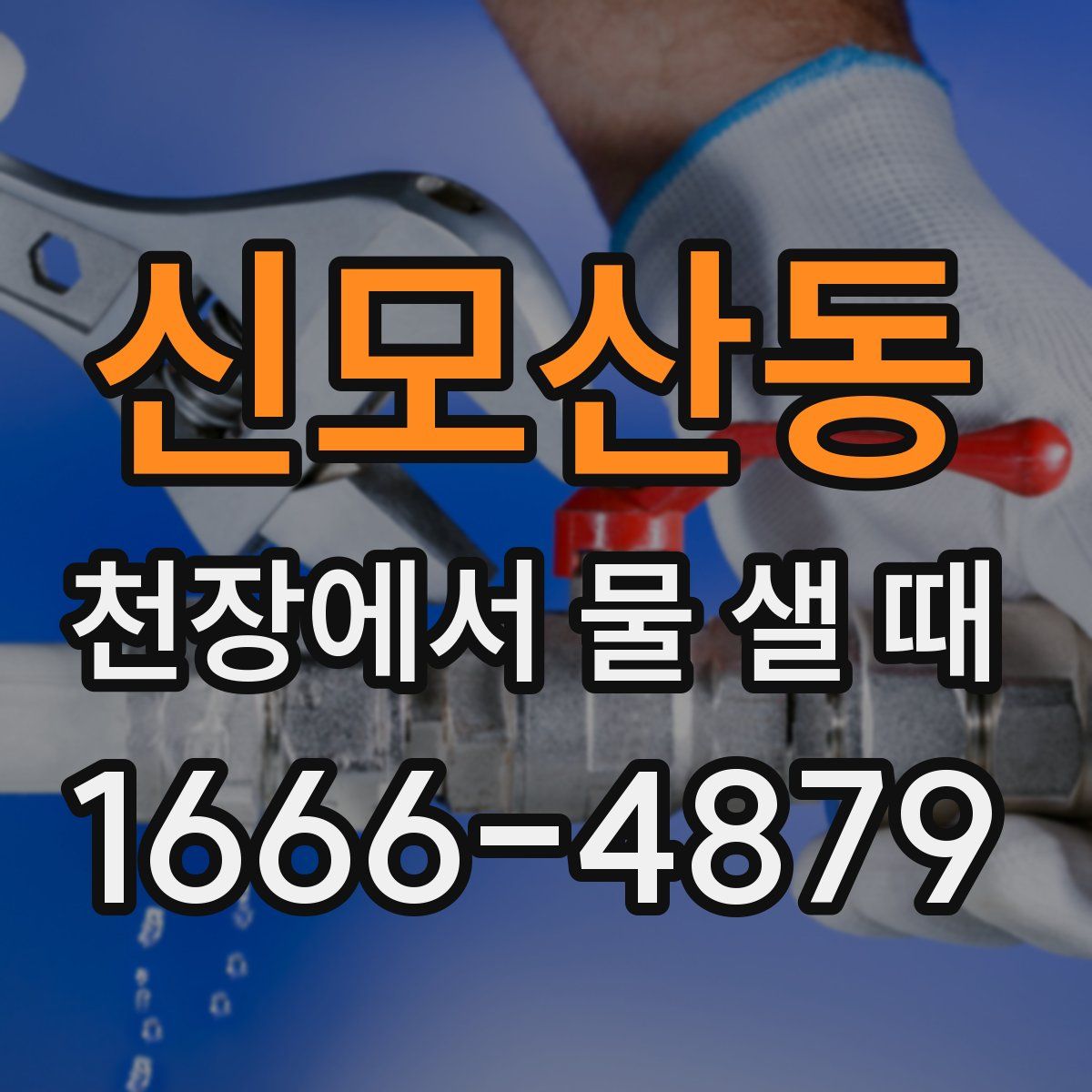신모산동 천장에서 물 샐 때