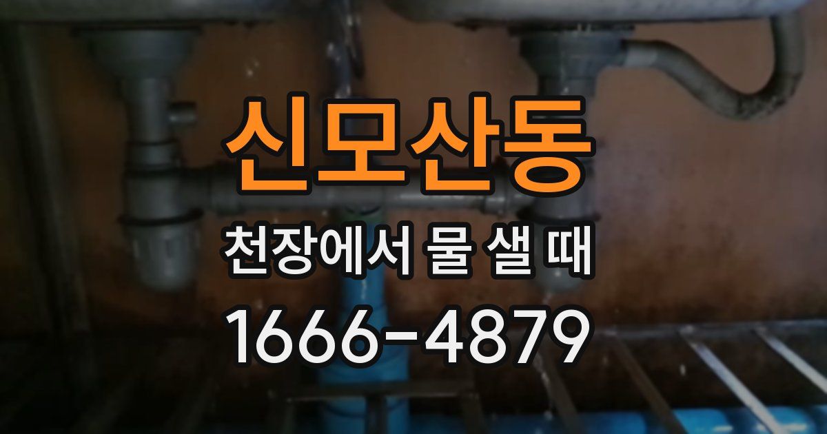 신모산동 천장에서 물 샐 때