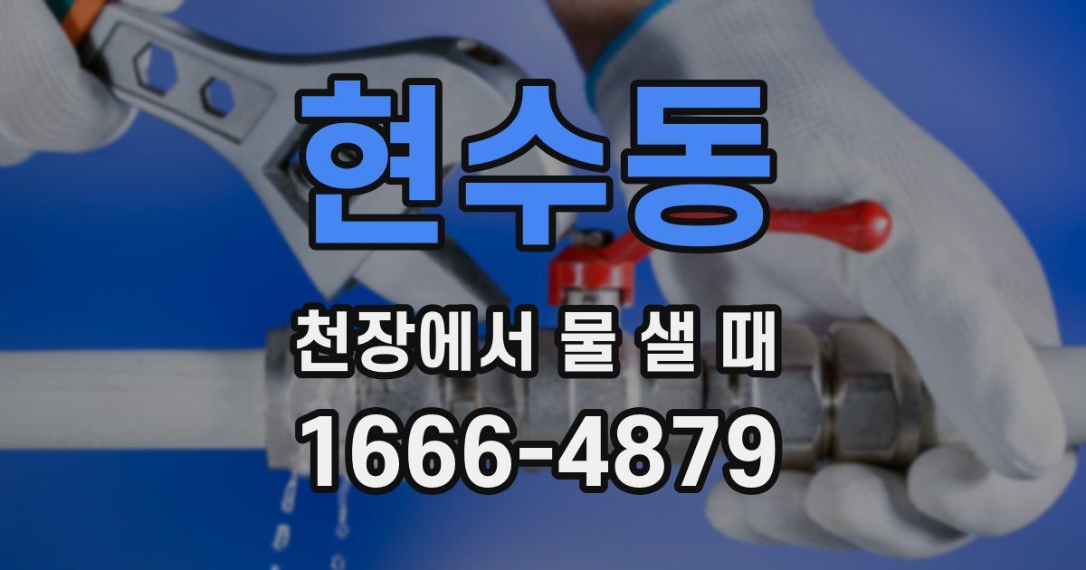 현수동 천장에서 물 샐 때