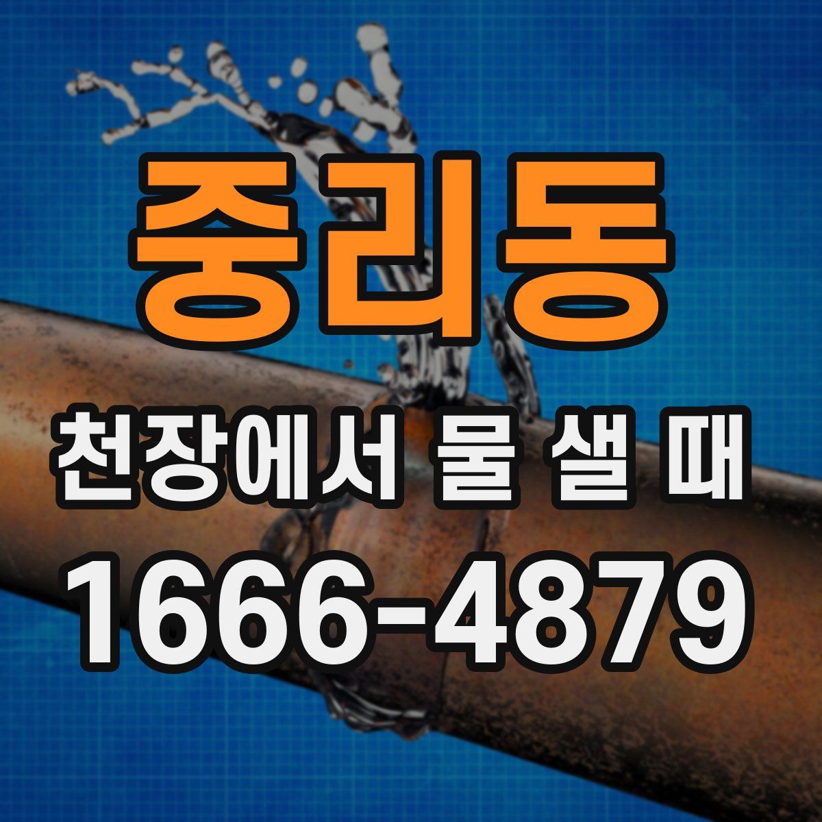 중리동 천장에서 물 샐 때