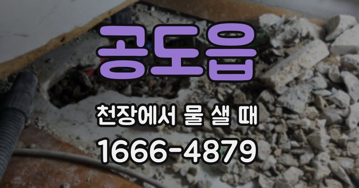 공도읍 천장에서 물 샐 때