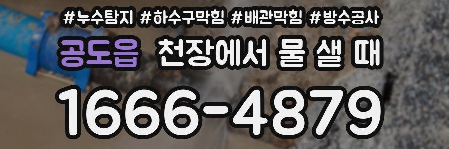 공도읍 천장에서 물 샐 때