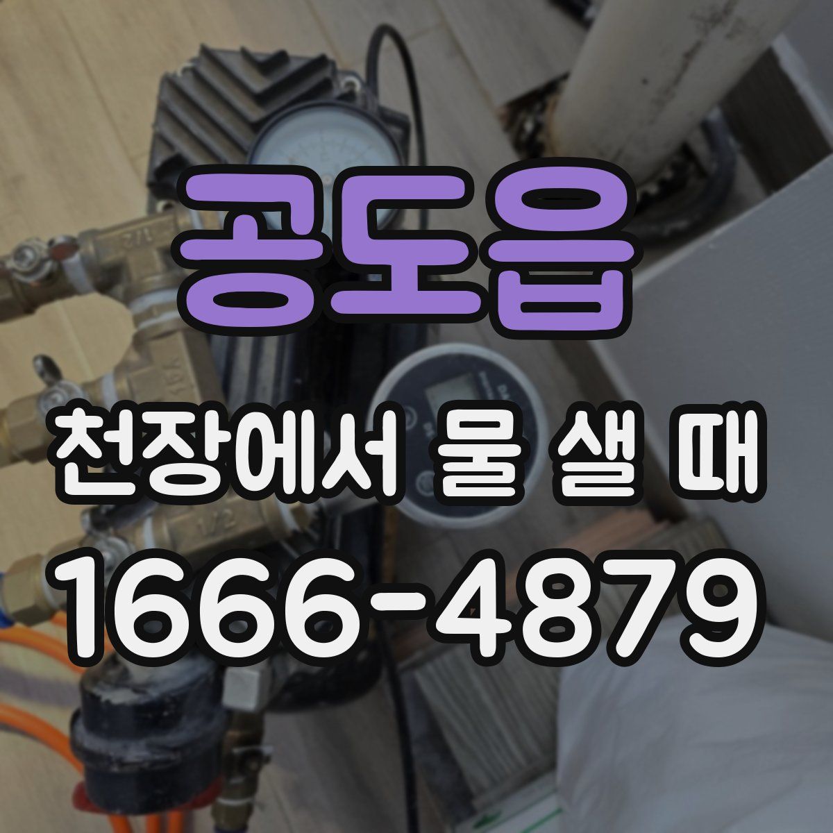공도읍 천장에서 물 샐 때