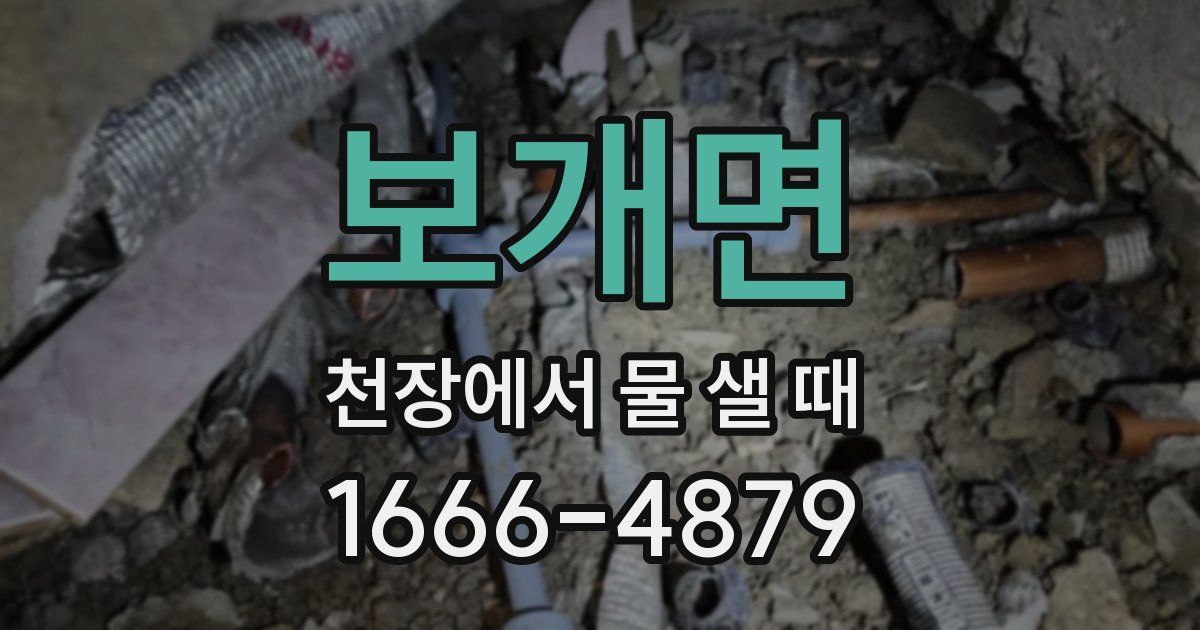 보개면 천장에서 물 샐 때