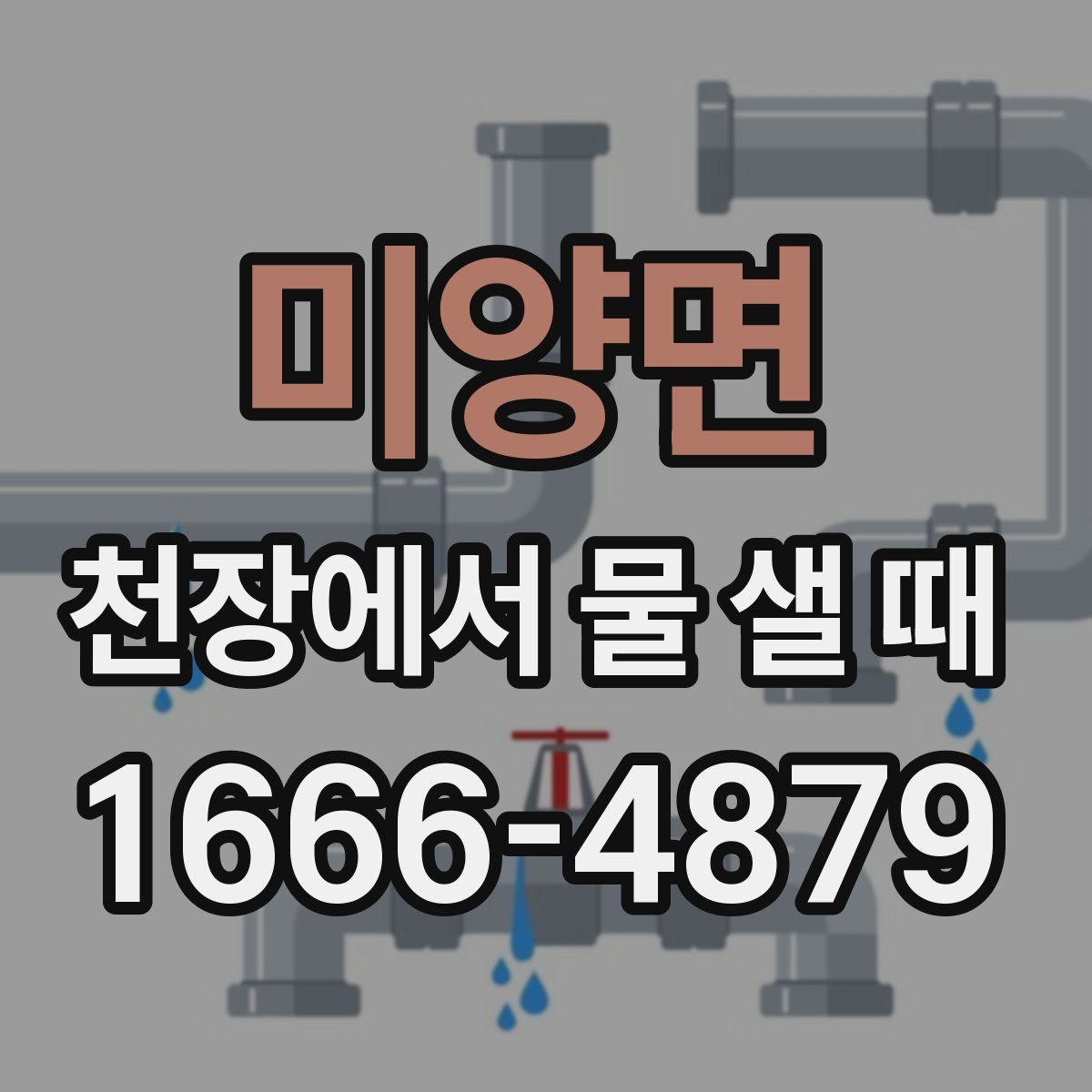 미양면 천장에서 물 샐 때