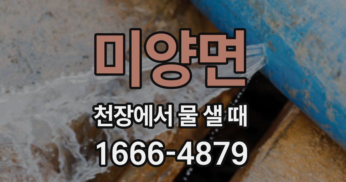 미양면 천장에서 물 샐 때