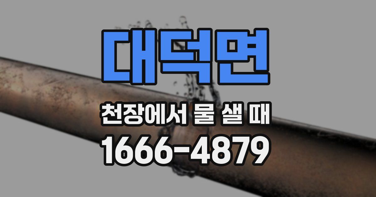 대덕면 천장에서 물 샐 때