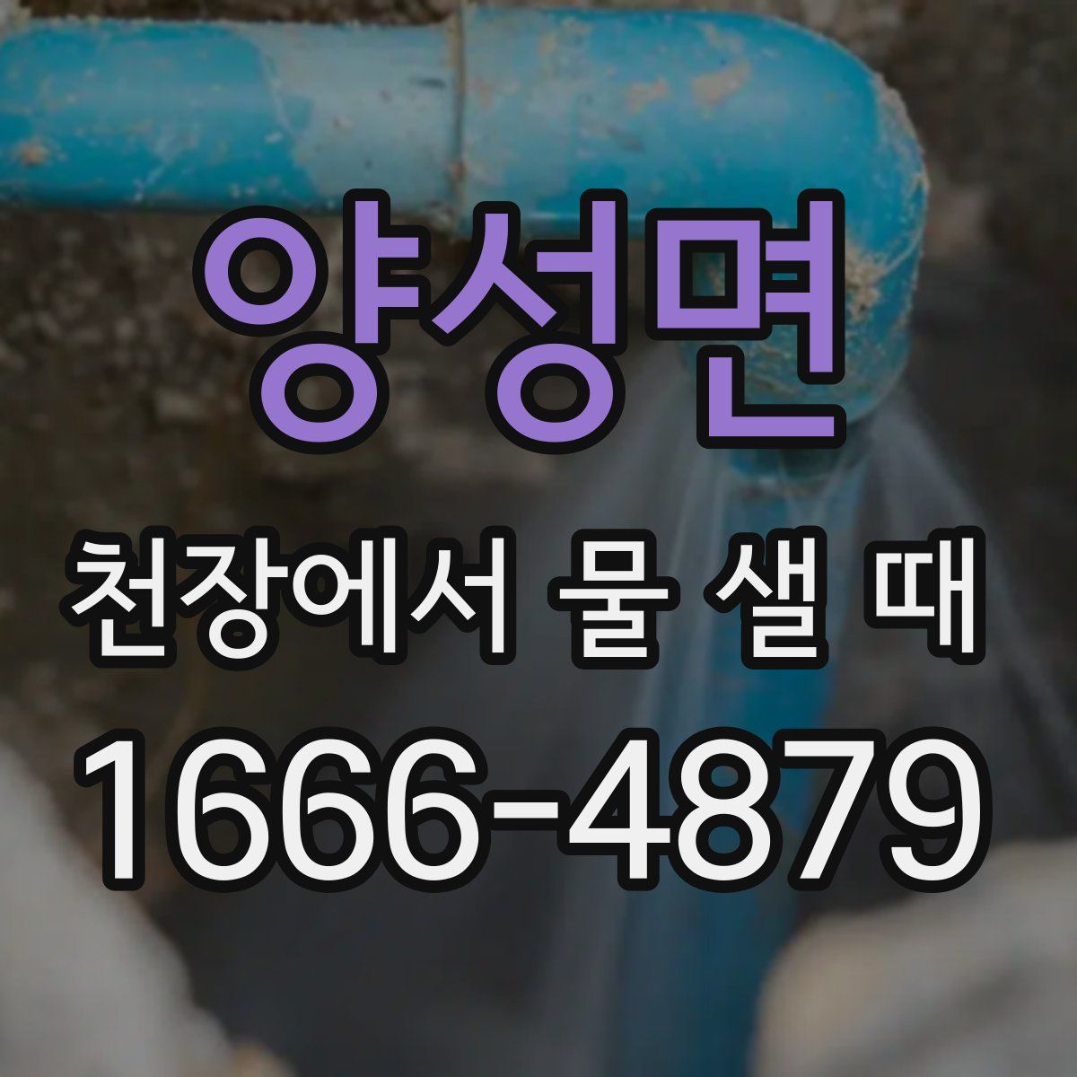 양성면 천장에서 물 샐 때