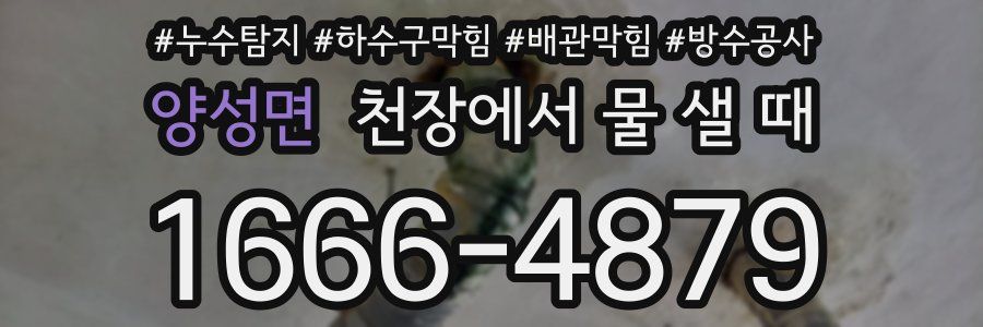 양성면 천장에서 물 샐 때