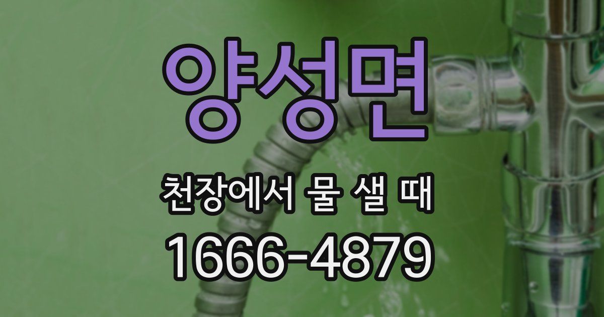 양성면 천장에서 물 샐 때