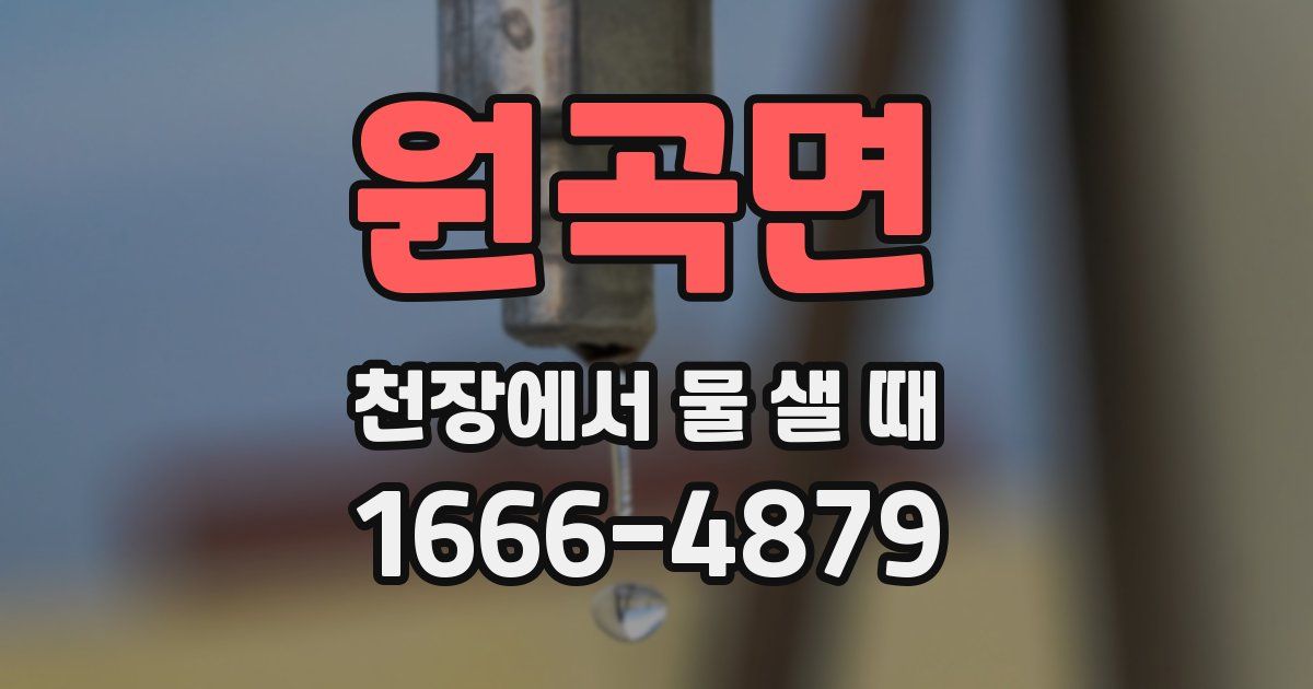 원곡면 천장에서 물 샐 때