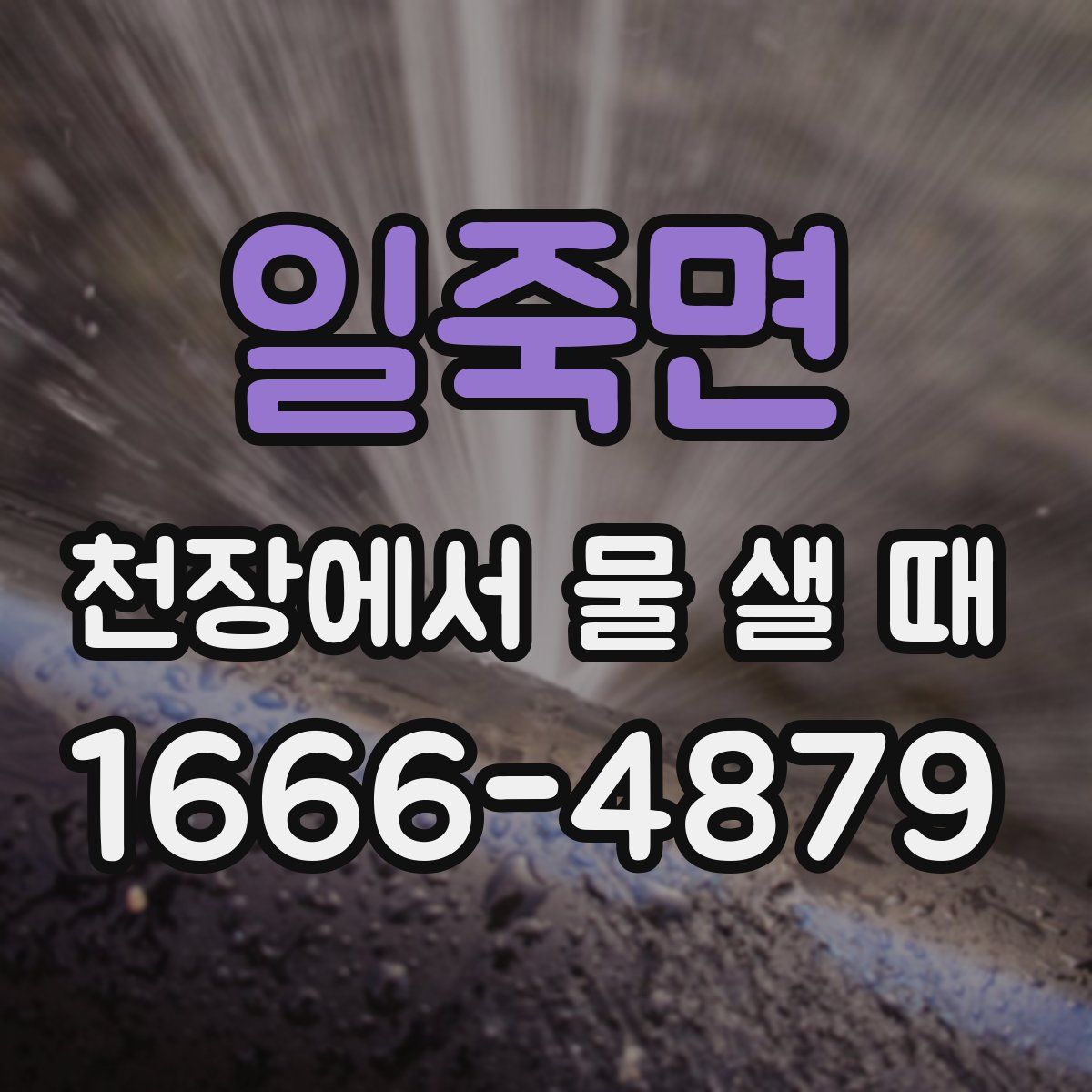 일죽면 천장에서 물 샐 때