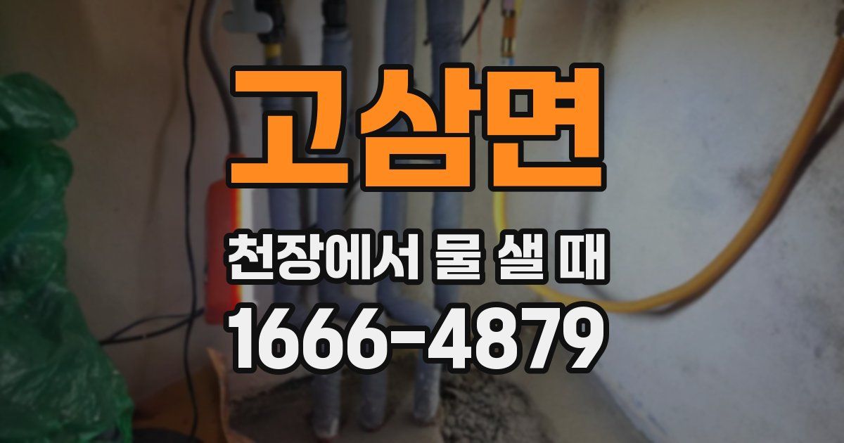 고삼면 천장에서 물 샐 때