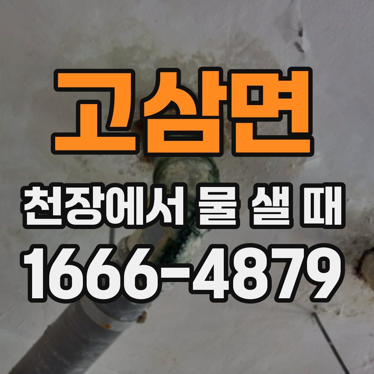 고삼면 천장에서 물 샐 때