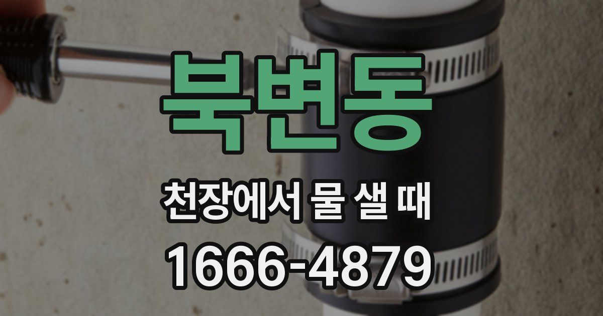 북변동 천장에서 물 샐 때