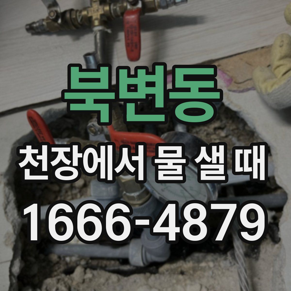 북변동 천장에서 물 샐 때