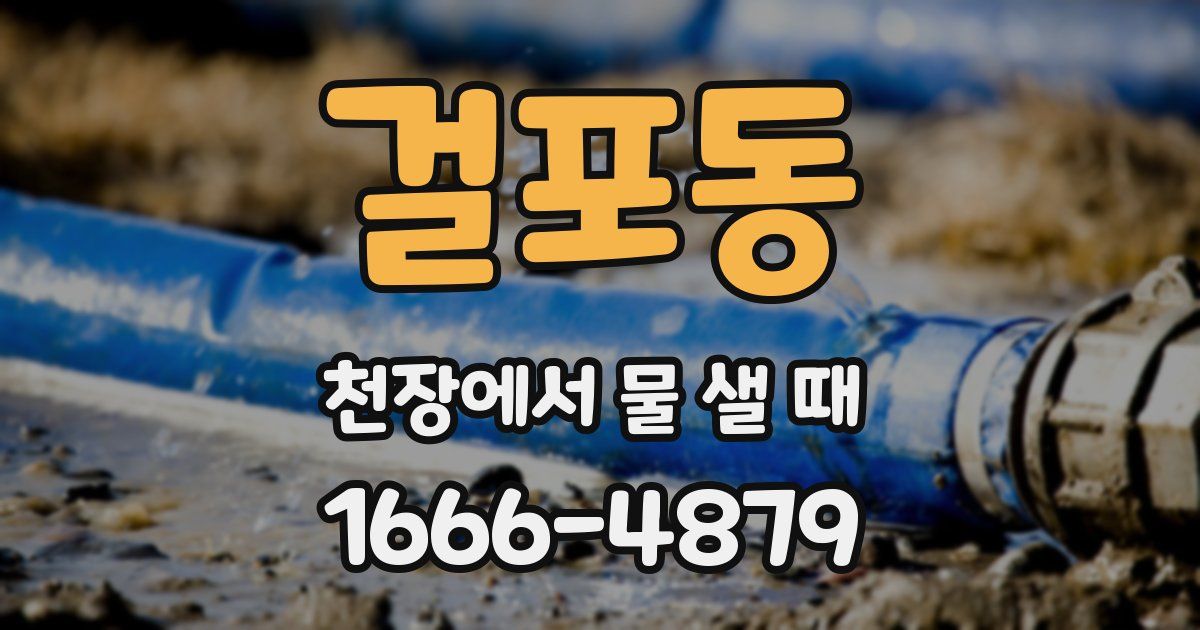 걸포동 천장에서 물 샐 때