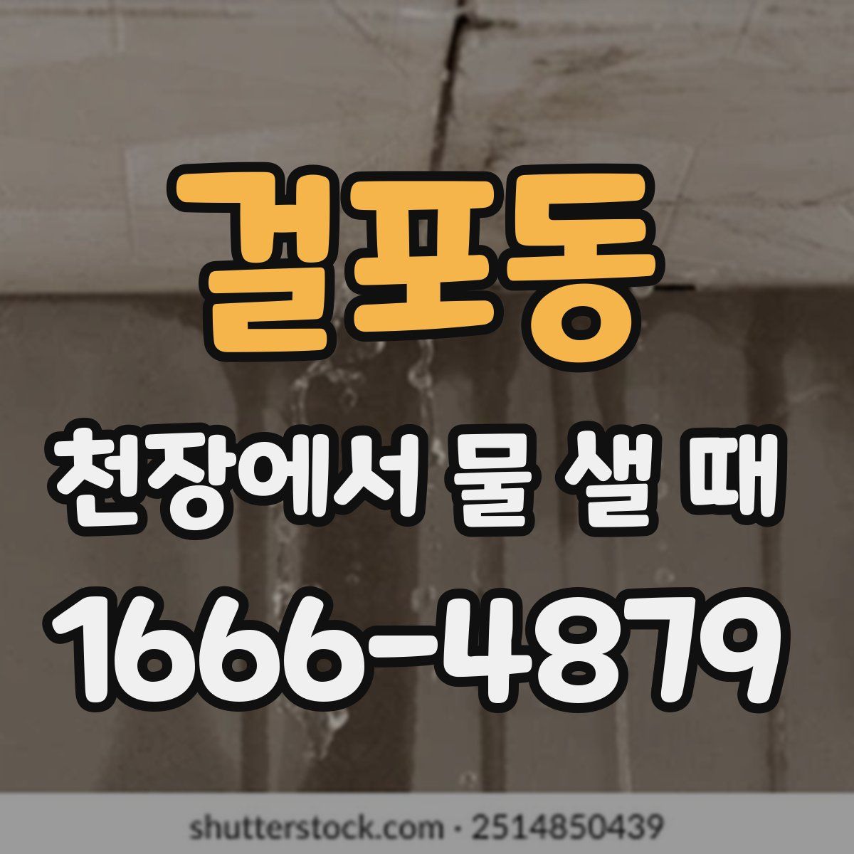 걸포동 천장에서 물 샐 때