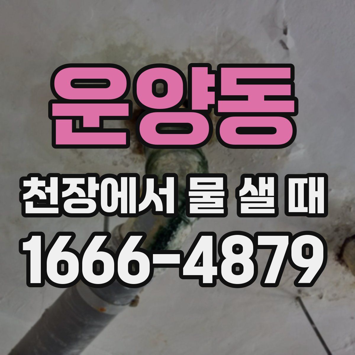 운양동 천장에서 물 샐 때
