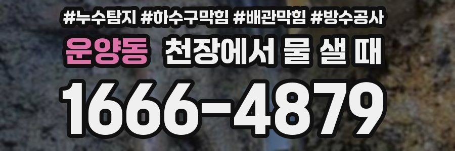 운양동 천장에서 물 샐 때