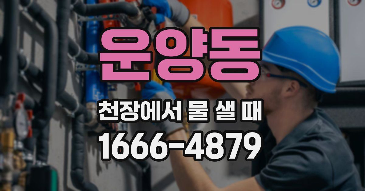 운양동 천장에서 물 샐 때