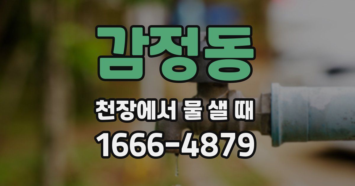 감정동 천장에서 물 샐 때