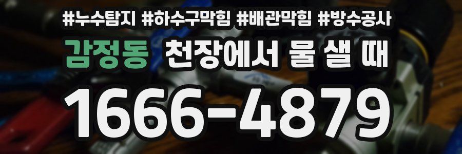 감정동 천장에서 물 샐 때