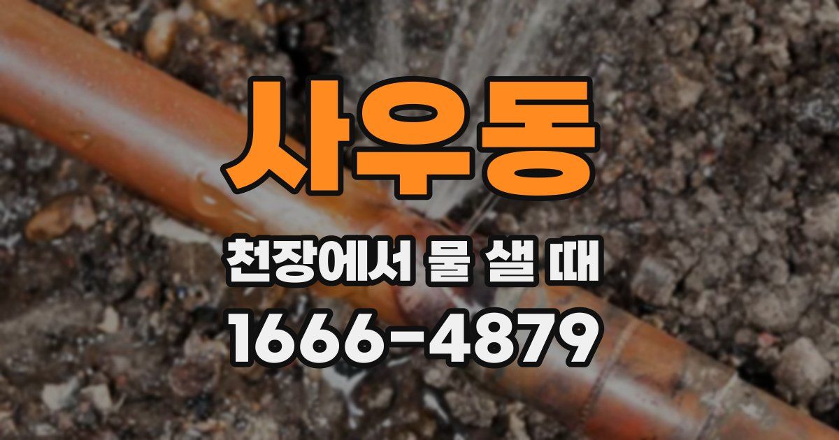 사우동 천장에서 물 샐 때
