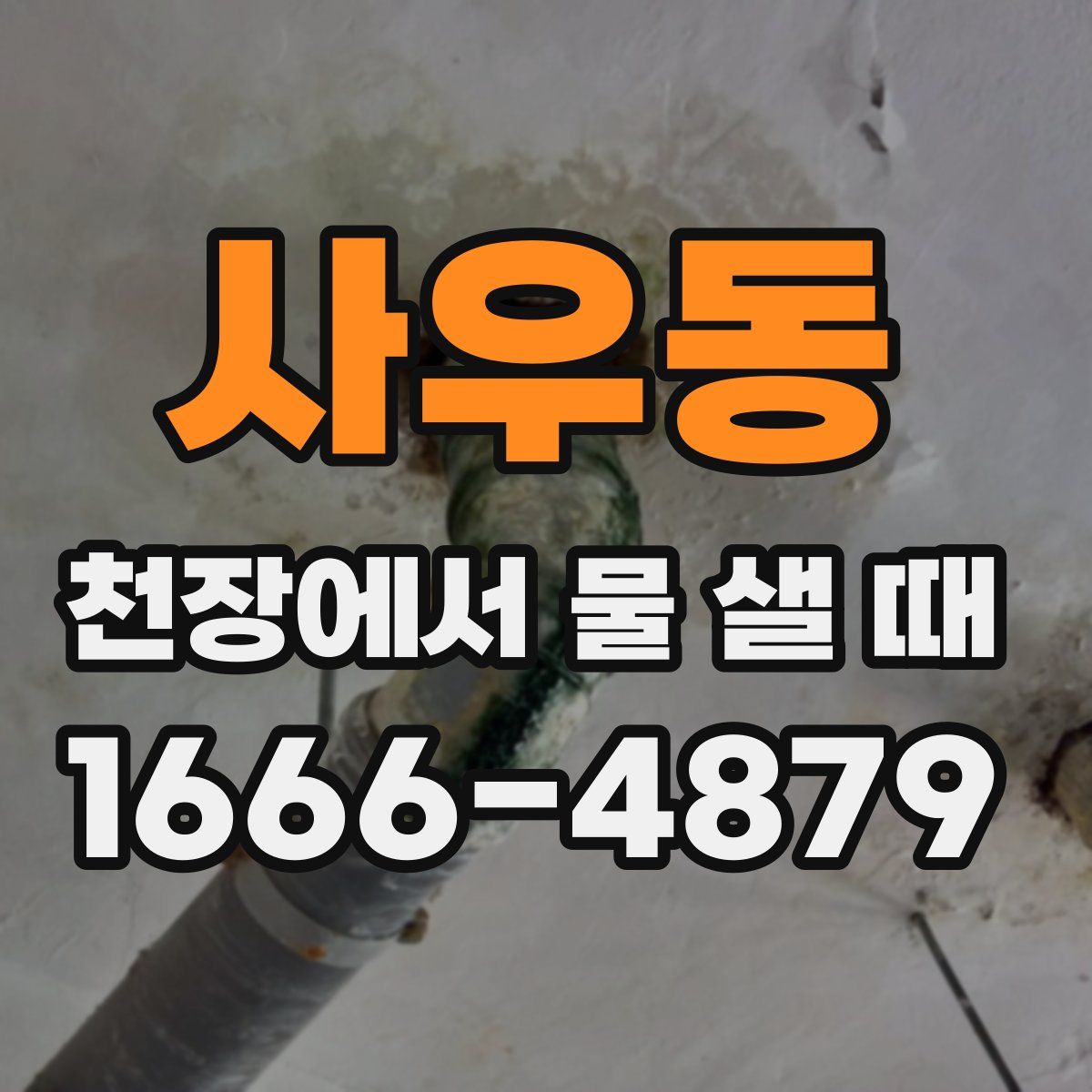 사우동 천장에서 물 샐 때
