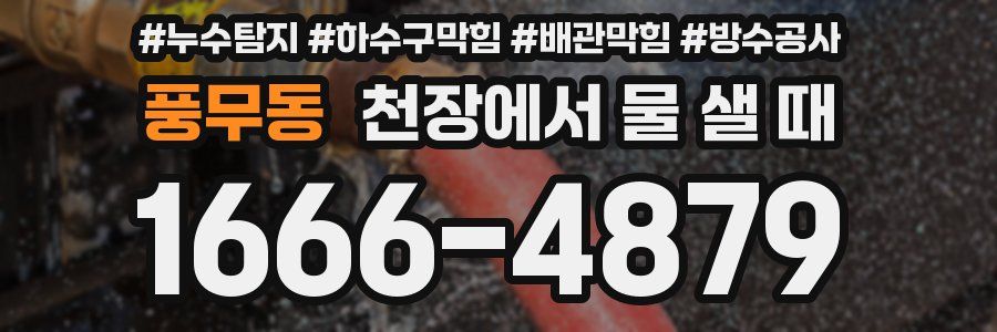 풍무동 천장에서 물 샐 때