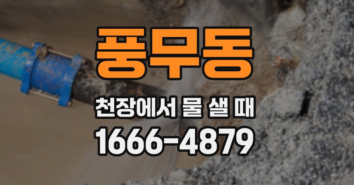 풍무동 천장에서 물 샐 때