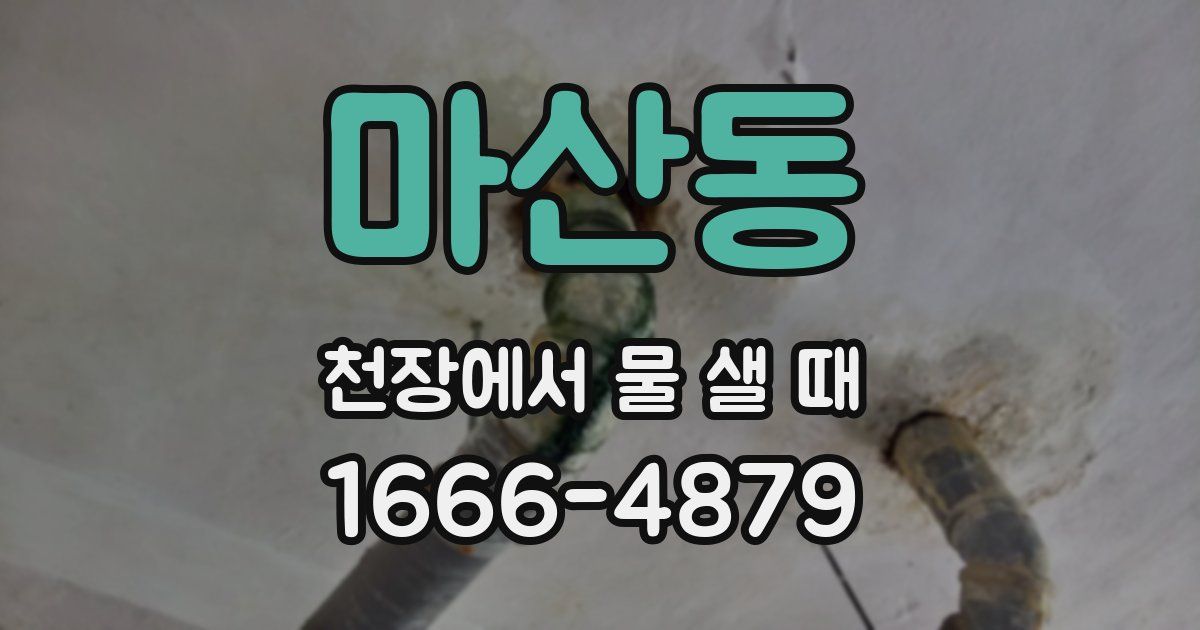 마산동 천장에서 물 샐 때