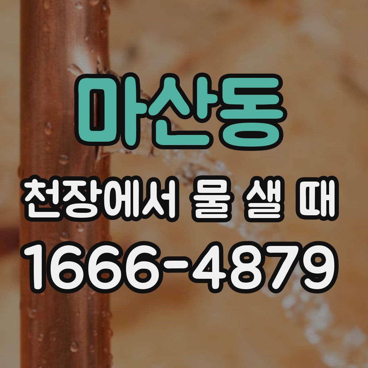 마산동 천장에서 물 샐 때