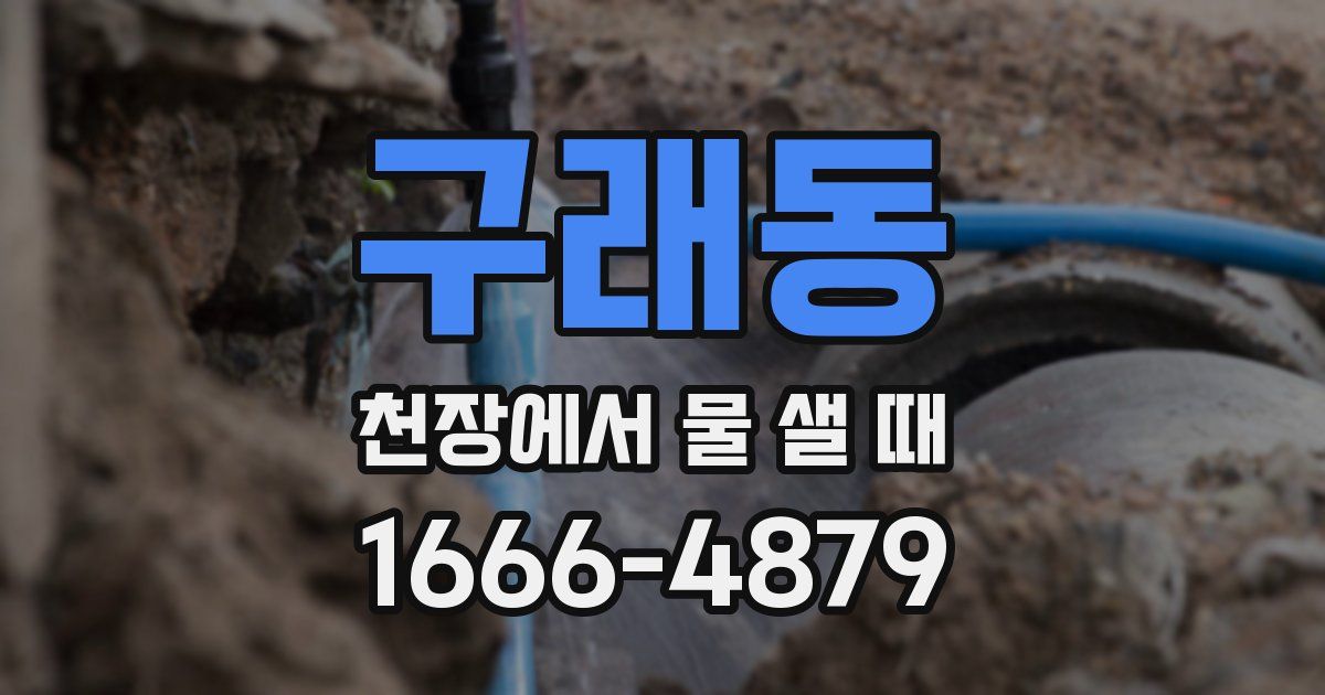 구래동 천장에서 물 샐 때