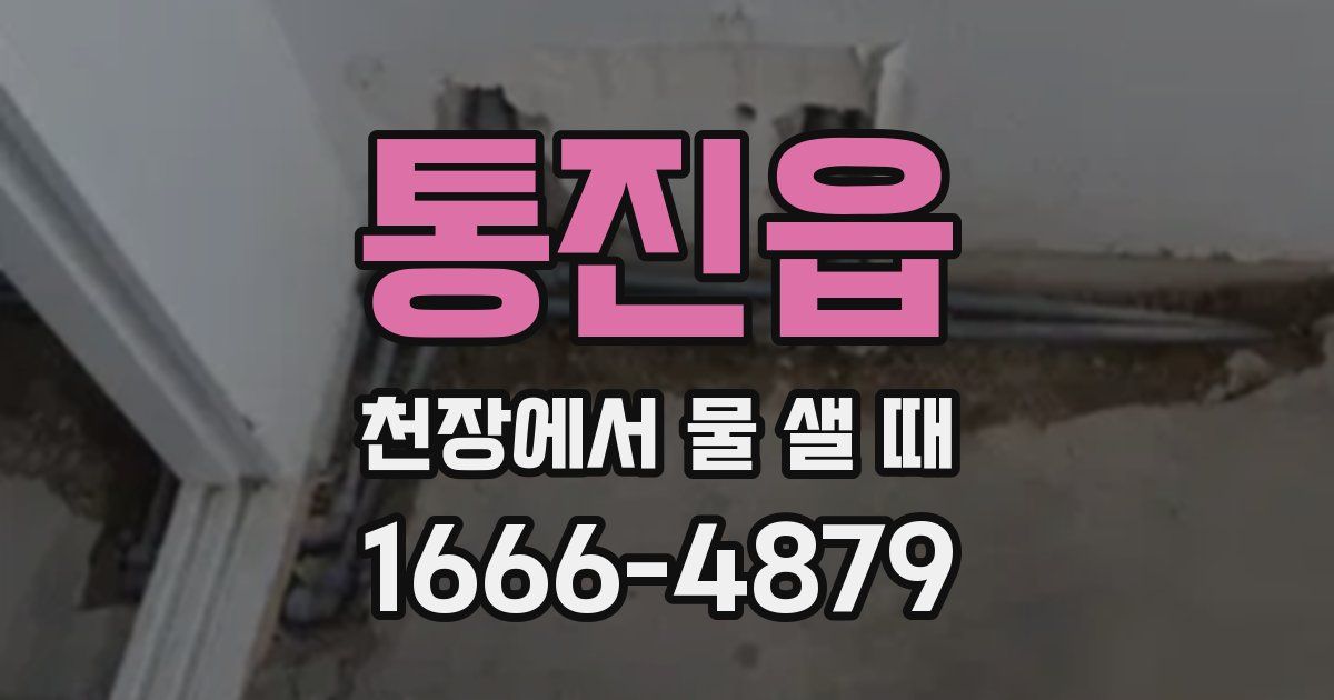 통진읍 천장에서 물 샐 때
