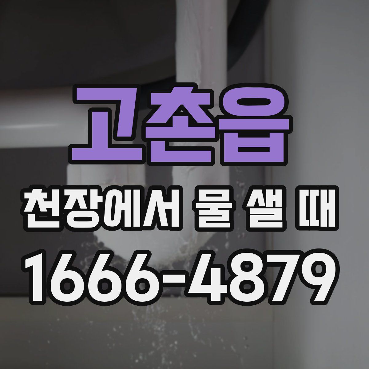 고촌읍 천장에서 물 샐 때