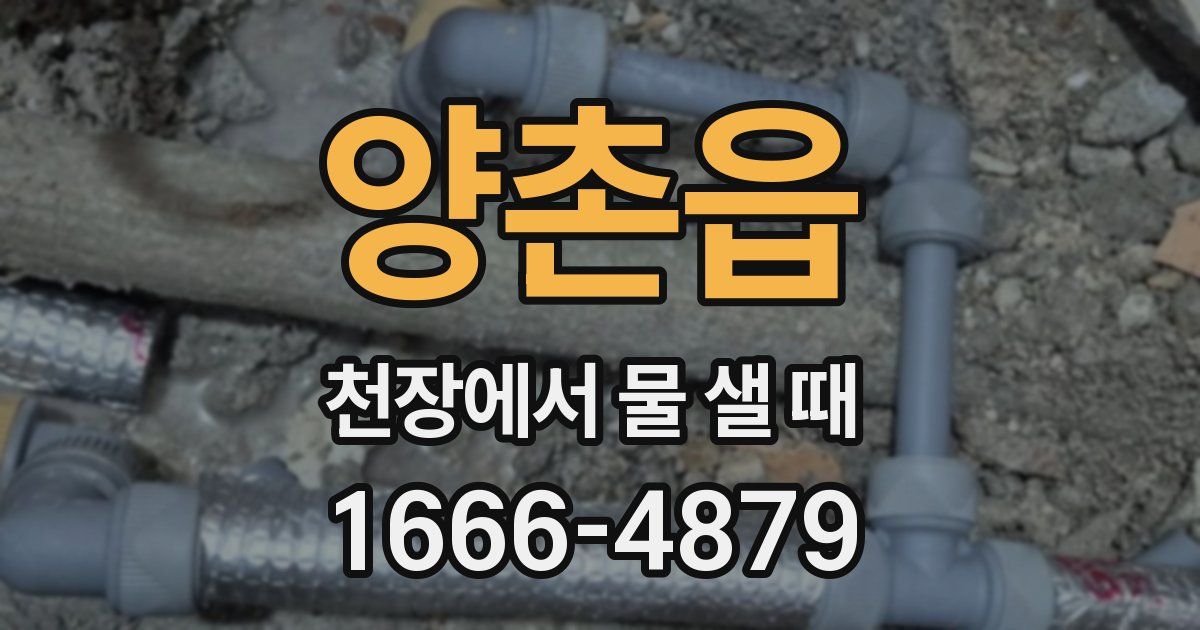 양촌읍 천장에서 물 샐 때