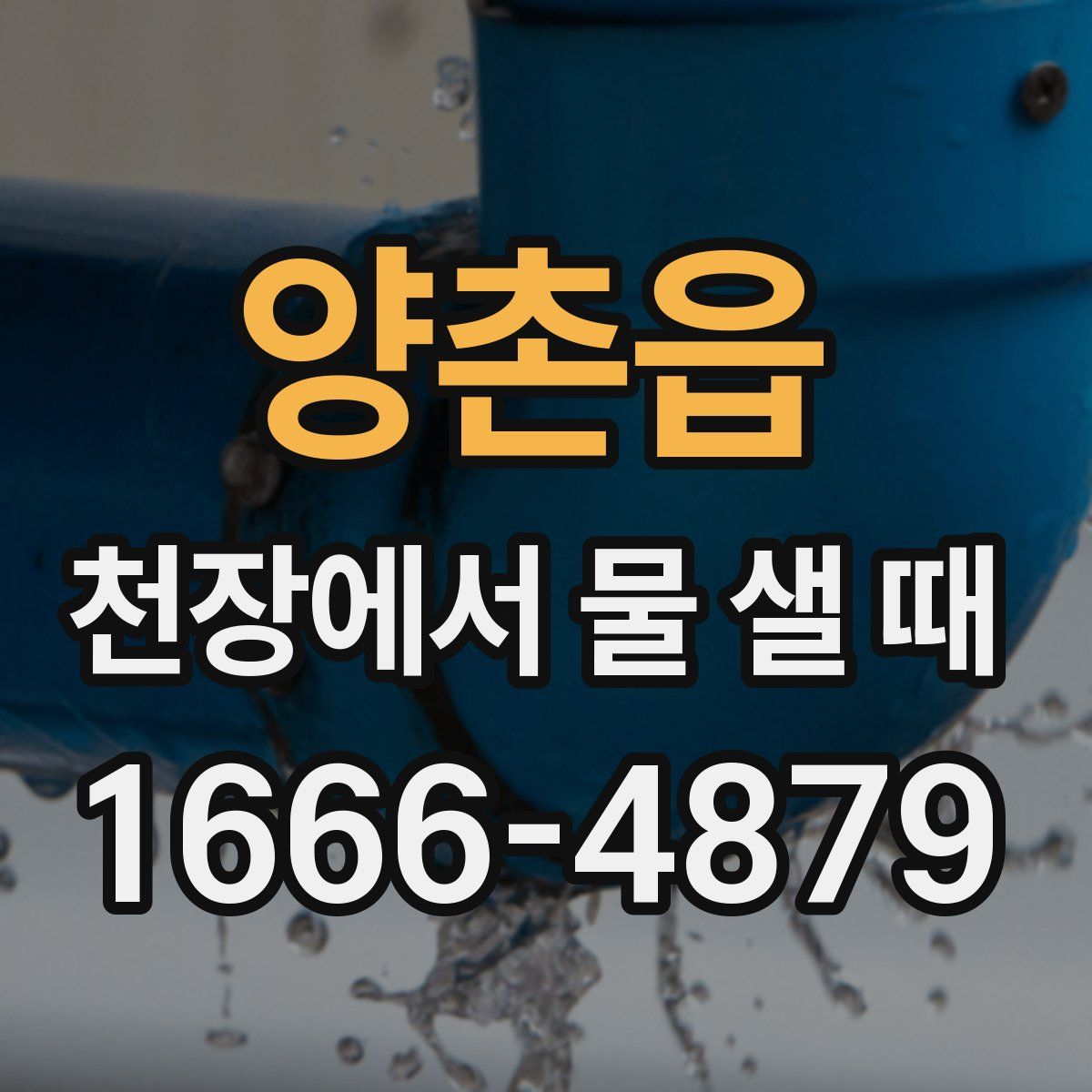 양촌읍 천장에서 물 샐 때